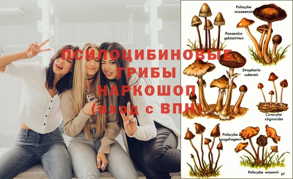 марки nbome Инта