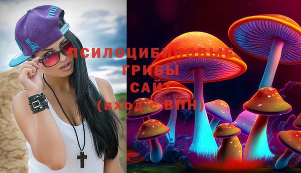 дживик Инсар