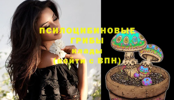 дживик Инсар