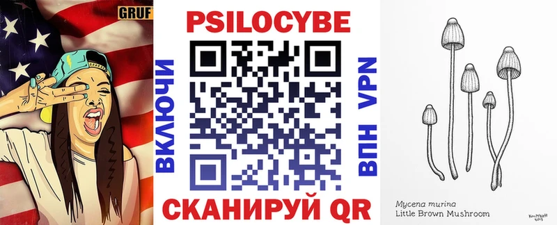 Псилоцибиновые грибы мицелий  Купить где  Кызыл 