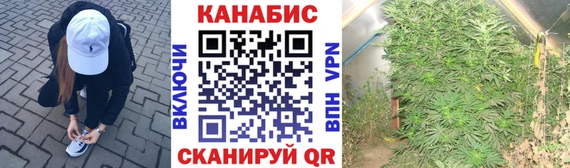 Каннабис OG Kush Купить закладки Кызыл